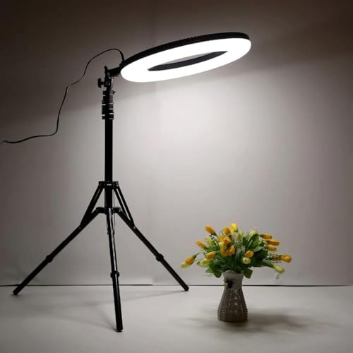 GIFTMAX® 18 Inch LED Ring Light BD 460 | 2 Color Modes & Dimmable Brightness | Remote Control | for YouTube, Makeup, Vlogging, Video Shoot, Live Streaming | Compatible with iPhone & Android|B0FNLW1RZ6