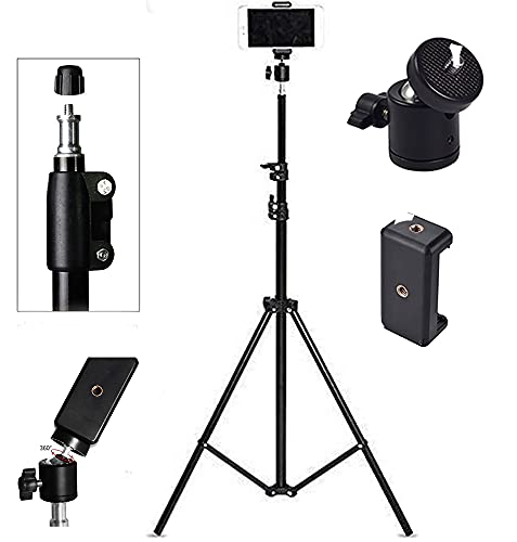 RGB 12 inch Ring Light with Stand 8 Feet Tripod Stand for Phone | Camera | 3 Color Modes Dimmable Lighting | for YouTube | Photo-Shoot | Video Shoot | Live Stream | Makeup & Vlogging|B09CGMRWGX